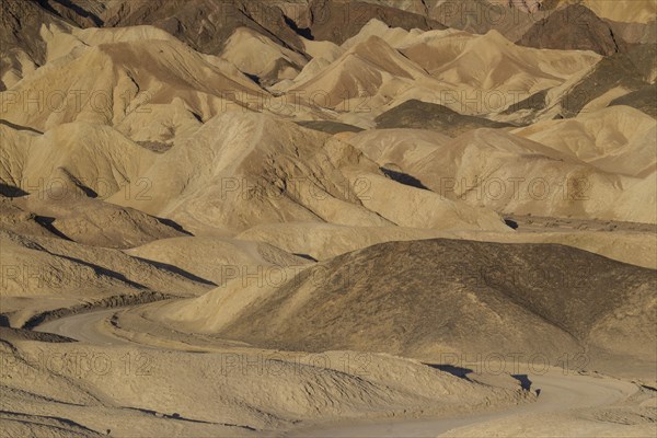 Road through the badlands of the 'Twenty Mule Team Canyon' in the morning light