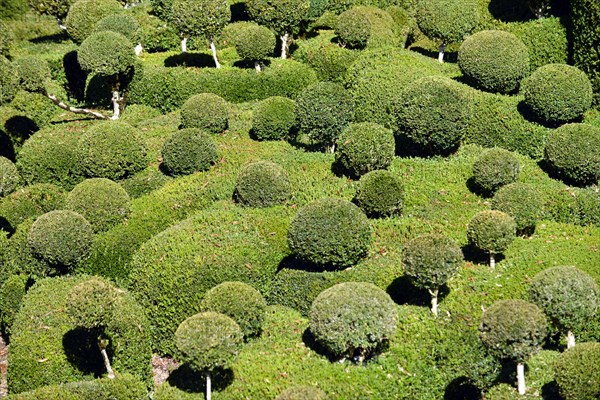 Les Jardins suspendus de Marqueyssac gardens