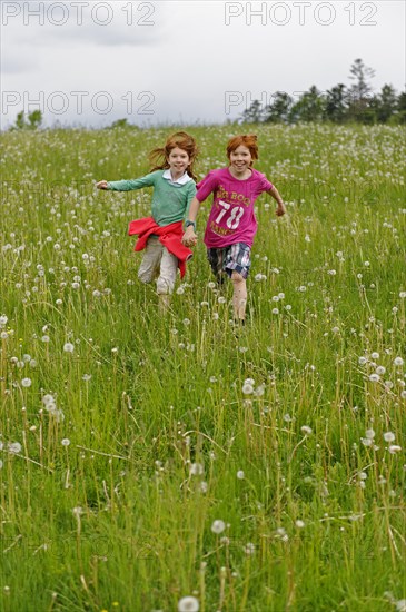 Two children running on a meadow with blowballs