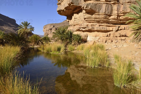 Water in a guelta at Iherir Canyon