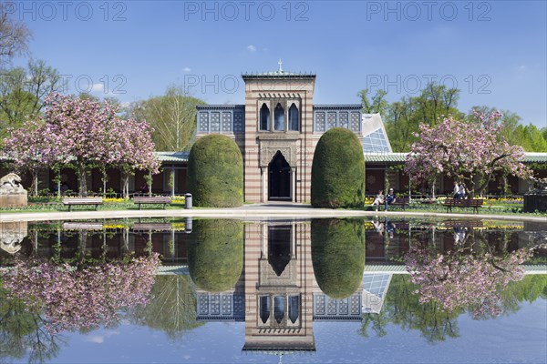 Magnolia blossom in the Moorish Garden