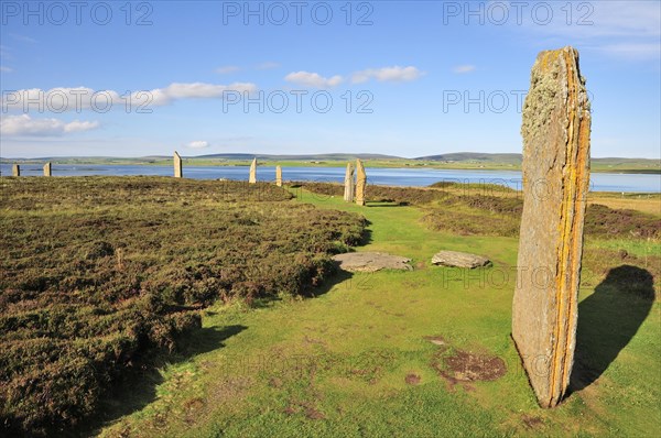 Ring of Brodgar