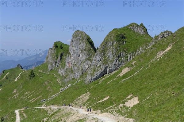 Trail to Mt Rotwand