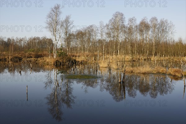 Rewetted moor