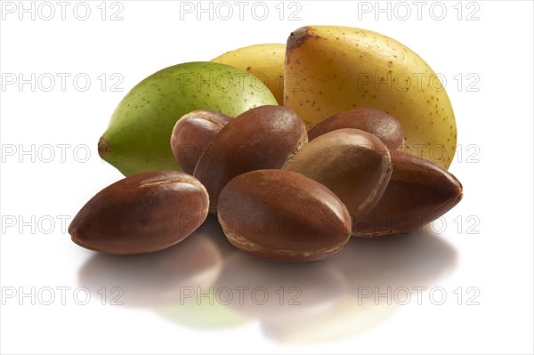 Fresh Argan nuts (Argania spinosa)