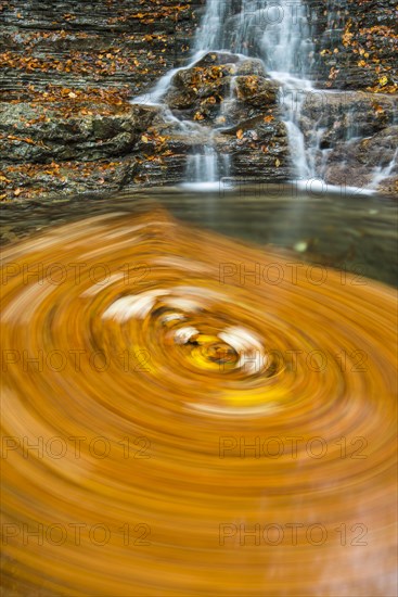 Swirling leaves in a Taugl river inlet