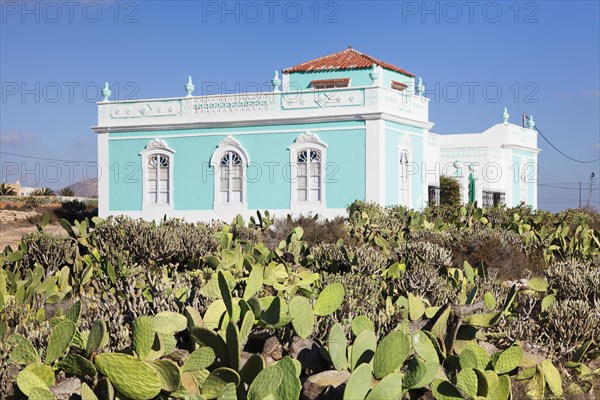 Villa surrounded by cacti