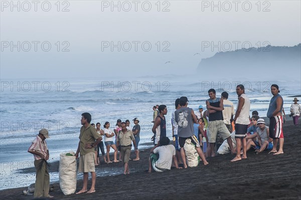 Turtle egg collectors on the beach waiting for the arrival of Olive Ridley Sea Turtles (Lepidochelys olivacea)