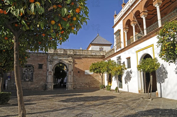 Casa de Pilatos or Pilate's House