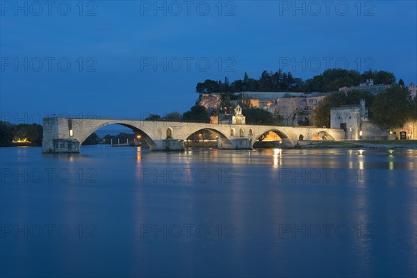 Rhone with the Pont Saint-Benezet bridge