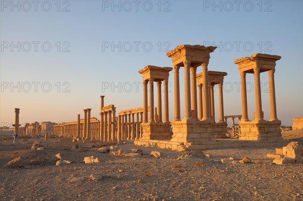 Ruins of the ancient city of Palmyra in the morning light