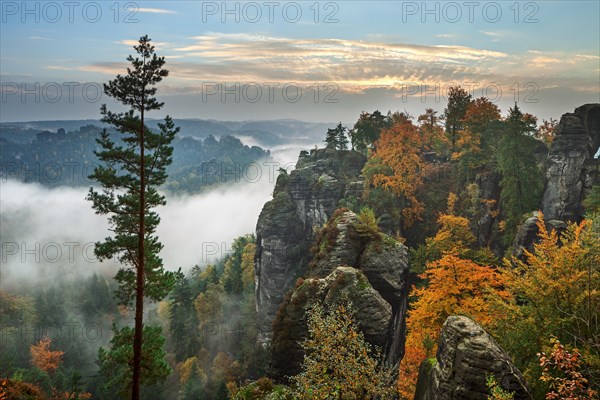 View from the Bastei in fall at dawn