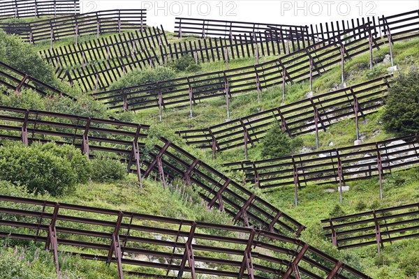 Slope with avalanche barriers above Disentis