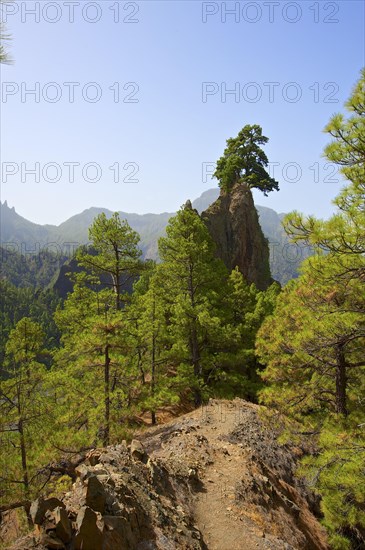 Rock formation Roque del Huso in the Parque Nacional de la Caldera de Taburiente National Park