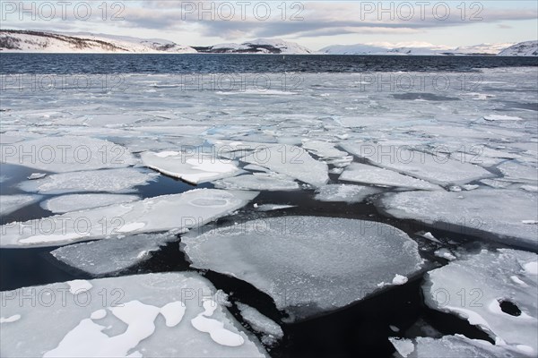 Barents Sea