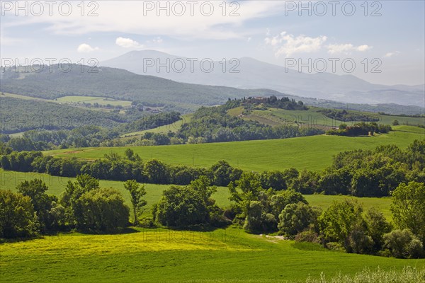 Hilly landscape of the Crete Senesi