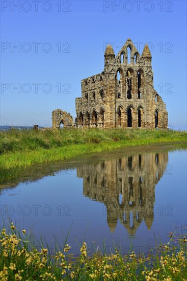 The ruins of Whitby Abbey that inspired Bram Stoker to his masterpiece 'Dracula'