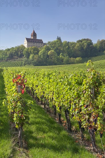 Stocksberg Castle