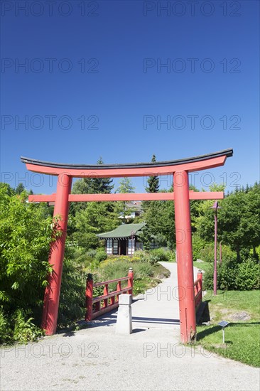 Japanese Garden