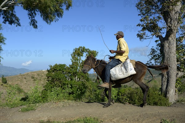 Man riding a donkey