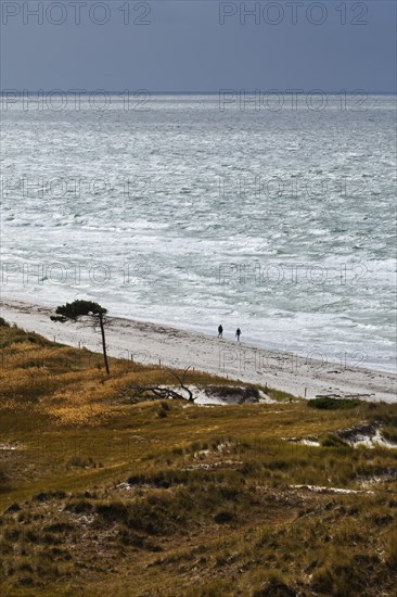 View on the western beach of Darsser Ort