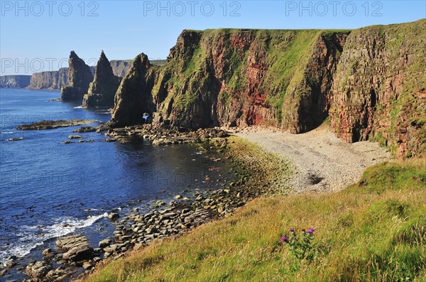 Duncansby Stacks pinnacles in the morning light