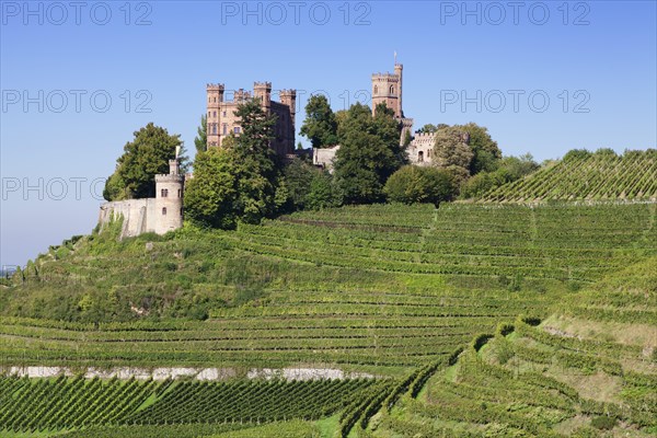 Schloss Ortenberg