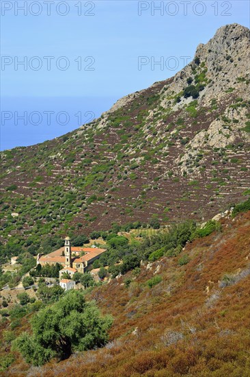 Couvent Saint-Dominique de Corbara Monastery