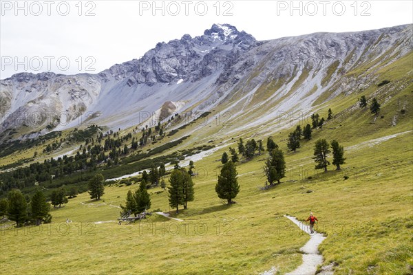 Hiker in Val Minger