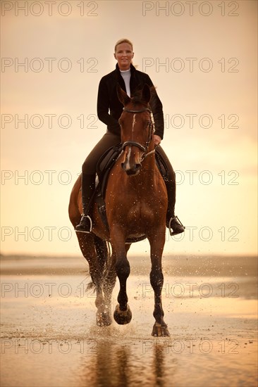 Woman riding on a Hanoverian gelding