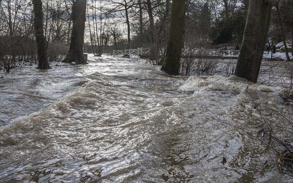 Floodwaters of the Ilm River