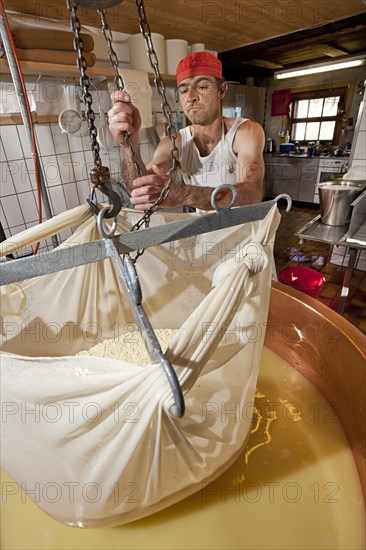 Dairyman raising the cloth with cottage cheese from the copper kettle to drain off the whey