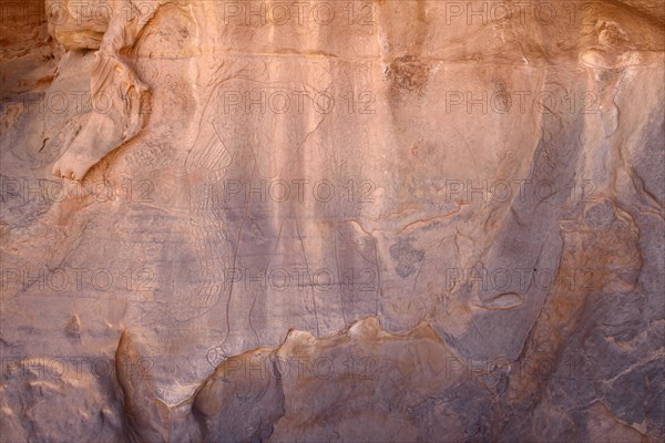 Rock engraving of an Elephant