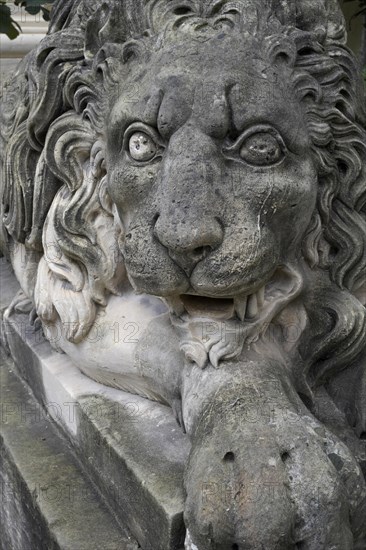 Lion figure