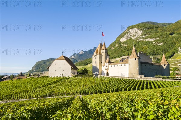 Chateau de Aigle castle surrounded by vineyards