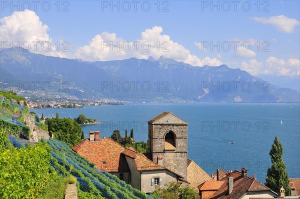 View over the wine-producing village and Lake Geneva towards Lausanne