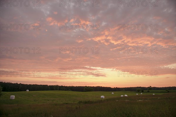 Hay bales on a mown meadow in the evening