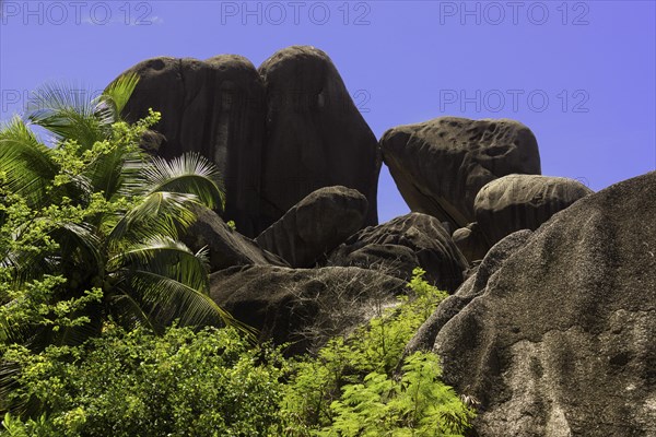 Typical rock formations in the Seychelles