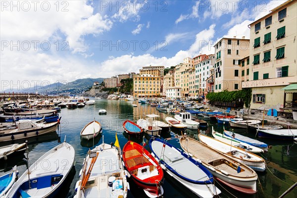 Harbour with fishing boats