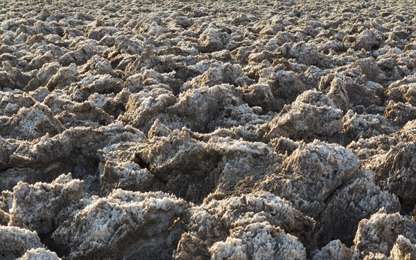 Eroded rock salt pinnacles on the Devil's Golf Course