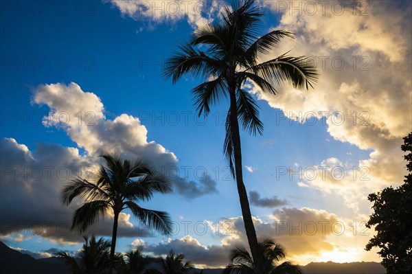 Sunset in Hanalei Bay