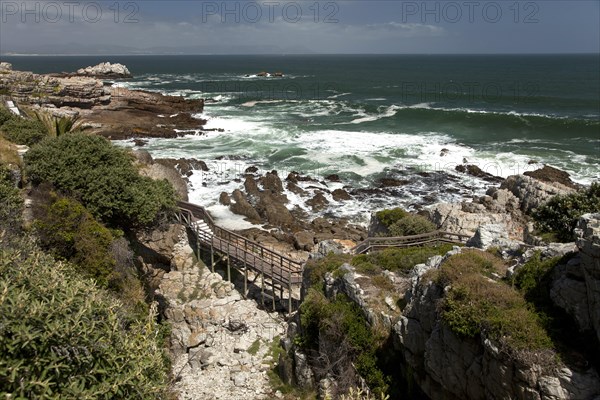 Cliffs at Hermanus