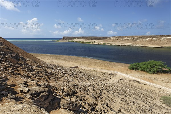 Wadi Darbat in Salalah