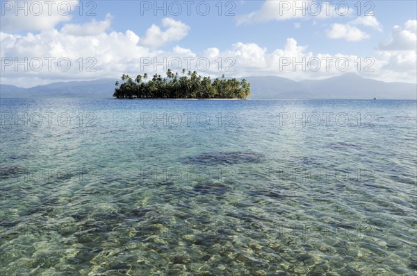 Tropical island with palm trees