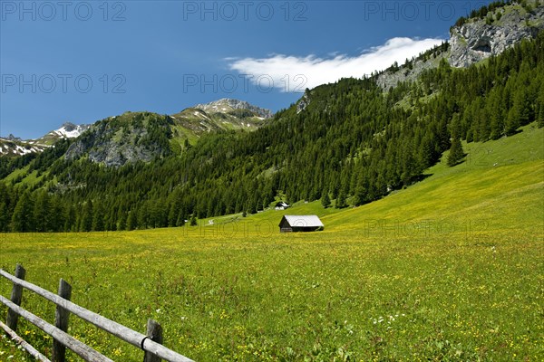 Mountain hut