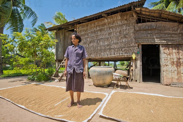 Cambodian farmer standing on the rice that is drying in the sun