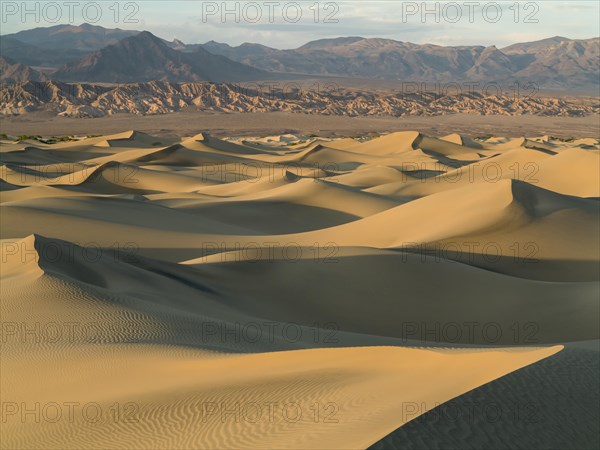 Mesquite Flat Sand Dunes in the evening light