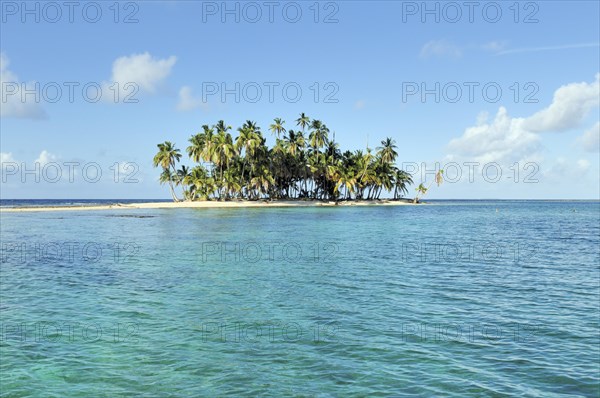 Tropical island with palm trees