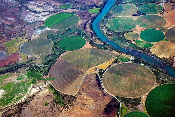 Circular fields on the Orange River