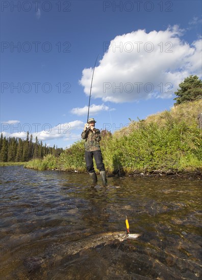 Man spin fishing for Northern Pike (Esox lucius)